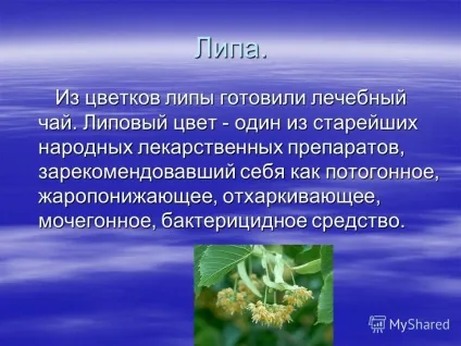 Презентація на тему як лікувалися наші предки (наші) Презентація на тему як лікувалися наші предки