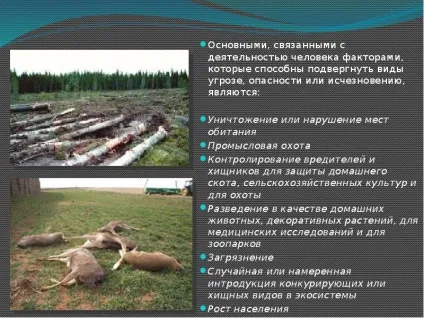 Презентація по темі вплив людини на природу (презентація онлайн) Презентація по темі вплив людини на природу