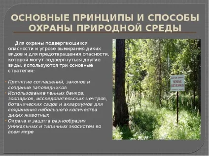 Презентація по темі вплив людини на природу (ppt) Презентація по темі вплив людини на природу