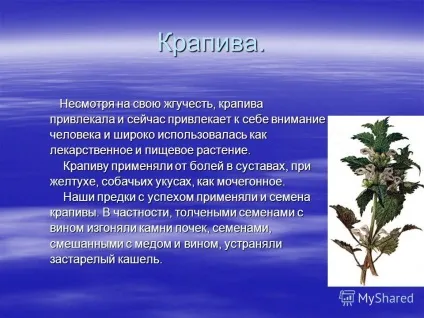 Презентація на тему як лікувалися наші предки ( «Коли лазні пропали») Презентація на тему як лікувалися наші предки