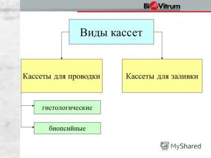 Презентація на тему техніка використання касет в гістологічної практиці (касет) Презентація на тему техніка використання касет в гістологічної практиці