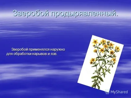 Презентація на тему як лікувалися наші предки (Лазні лазневі процедури) Презентація на тему як лікувалися наші предки
