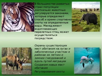 Презентація по темі вплив людини на природу (вплив) Презентація по темі вплив людини на природу