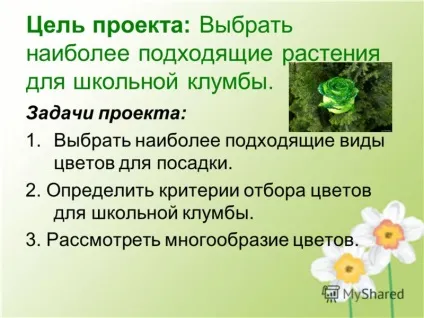 Презентація на тему краса шкільної клумби (краса шкільної клумби. Мета проекту: вибрати найбільш підходящі рослини для шкільної клумби. Завдання проекту: 1.вибрать найбільш підходящі види квітів.) Презентація на тему краса шкільної клумби