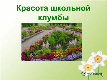 Презентація на тему краса шкільної клумби (Вибрати найбільш підходящі) Презентація на тему краса шкільної клумби