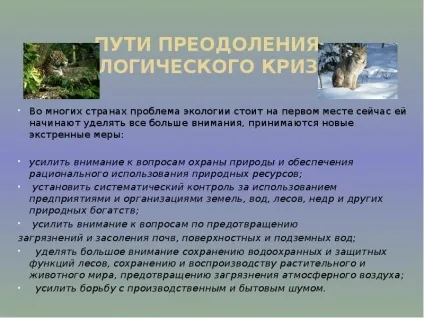 Презентація по темі вплив людини на природу (powerpoint) Презентація по темі вплив людини на природу