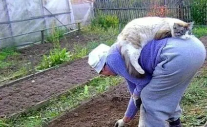 Приколи на дачі, дачний сезон відкритий фото (дачі) Приколи на дачі, дачний сезон відкритий фото