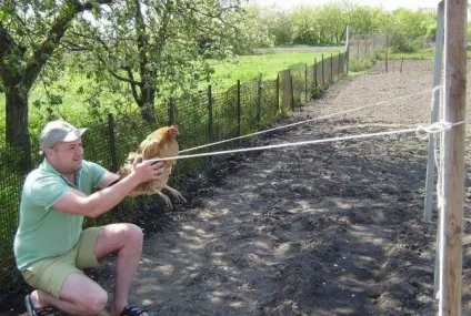 Приколи на дачі, дачний сезон відкритий фото (сезон) Приколи на дачі, дачний сезон відкритий фото