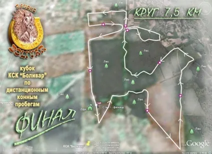 Пробіги з обмеженою швидкістю (швидкістю) Пробіги з обмеженою швидкістю