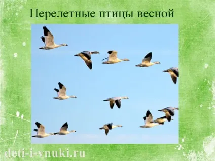 Про сонечко для дітей, діти і внуки