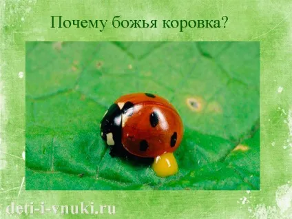 Про сонечко для дітей, діти і внуки
