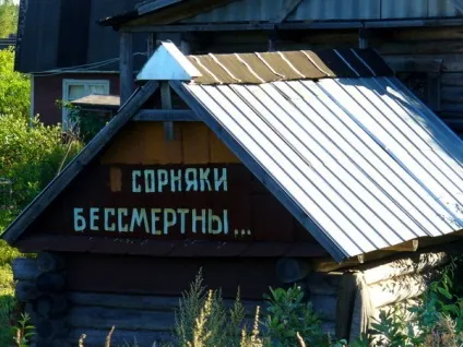 Приколи на дачі, дачний сезон відкритий фото (приколи) Приколи на дачі, дачний сезон відкритий фото