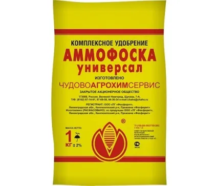 Застосування добрива азофоски для помідорів (добрива) Застосування добрива азофоски для помідорів
