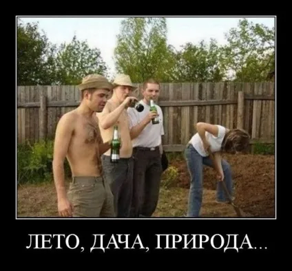 Приколи на дачі, дачний сезон відкритий фото (дачі) Приколи на дачі, дачний сезон відкритий фото