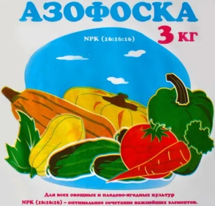 Застосування добрива азофоски для помідорів (добрива) Застосування добрива азофоски для помідорів