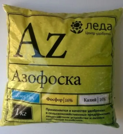Застосування добрива азофоски для помідорів (великою популярністю серед) Застосування добрива азофоски для помідорів