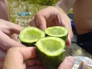 про огірки