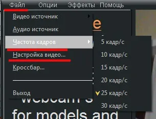 Програма для веб камери splitcam
