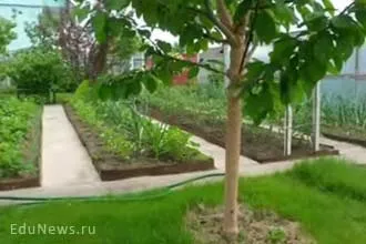 Професія ландшафтний дизайнер докладний опис (дизайнер) Професія ландшафтний дизайнер докладний опис