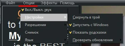 Програма для веб камери splitcam