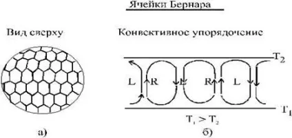 процеси самоорганізації