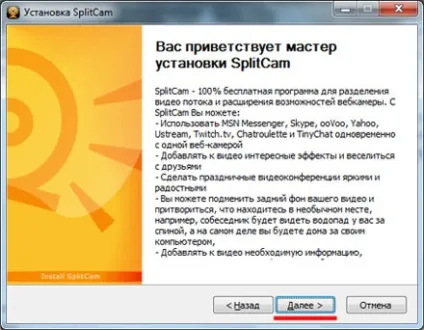 Програма для веб камери splitcam