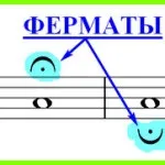 Розташування нот альтового і тенорового ключа