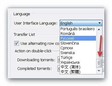 Qbittorrent - відмінний клієнт для закачування торрентів (качати) Qbittorrent - відмінний клієнт для закачування торрентів
