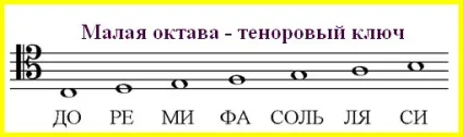 Розташування нот альтового і тенорового ключа