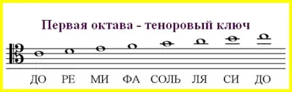 Розташування нот альтового і тенорового ключа