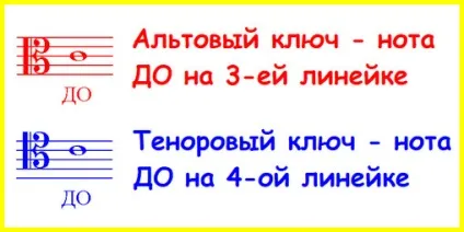 Розташування нот альтового і тенорового ключа