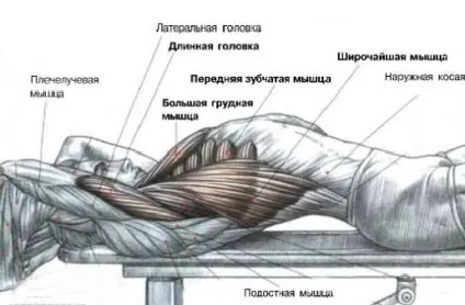 Пуловер зі штангою