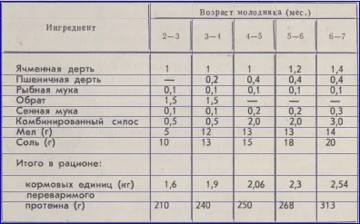 Раціон годівлі свиней ремонтного молодняка (ремонтного) Раціон годівлі свиней ремонтного молодняка