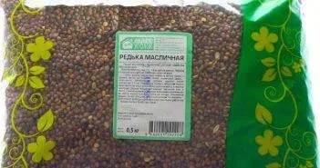 Редька олійна як сидерат застосування, коли сіяти, відгуки (олійна) Редька олійна як сидерат застосування, коли сіяти, відгуки