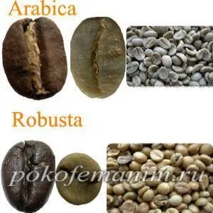 Робуста або арабіка що краще