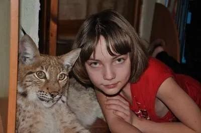 Рись в будинку, чи можливо це