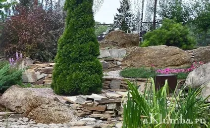 Рокарій своїми руками - як створити рокарій 20 фото саду каменів (каменів) Рокарій своїми руками - як створити рокарій 20 фото саду каменів