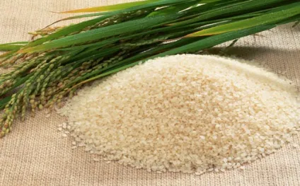 Рисові висівки - корисний продукт для всього організму, як вживати рисові висівки (рисові) Рисові висівки - корисний продукт для всього організму, як вживати рисові висівки