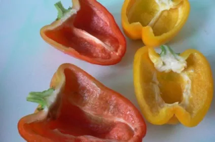 Рецепт шашлик з курки з овочами покроковий з фотографіями (курки) Рецепт шашлик з курки з овочами покроковий з фотографіями