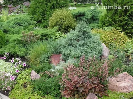 Рокарій своїми руками - як створити рокарій 20 фото саду каменів (рокарій своїми руками) Рокарій своїми руками - як створити рокарій 20 фото саду каменів