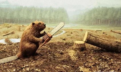 Розчищення від дерев
