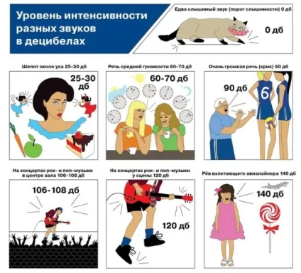 Розрахунок звукоізоляції приміщень - що потрібно знати про звук (потрібно) Розрахунок звукоізоляції приміщень - що потрібно знати про звук