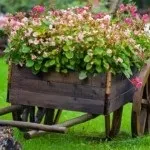 Садові лавки види, опис, фото (садові) Садові лавки види, опис, фото