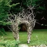 Рутар в ландшафтному дизайні коріння і корчі на дачі в саду (25 фото) (ландшафтному) Рутар в ландшафтному дизайні коріння і корчі на дачі в саду (25 фото)