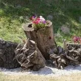 Рутар в ландшафтному дизайні коріння і корчі на дачі в саду (25 фото) (декор саду) Рутар в ландшафтному дизайні коріння і корчі на дачі в саду (25 фото)