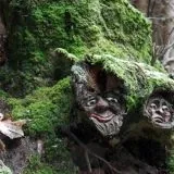 Рутар в ландшафтному дизайні коріння і корчі на дачі в саду (25 фото) (Рутар) Рутар в ландшафтному дизайні коріння і корчі на дачі в саду (25 фото)