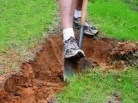 Рулонний газон пристрій, догляд і технологія укладання (рулонний газон) Рулонний газон пристрій, догляд і технологія укладання