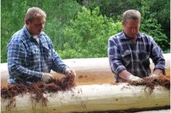 Рубка зрубу в чашу своїми руками підготовка, укладання колод і утеплювача (рубка зруб чаша своїми руками) Рубка зрубу в чашу своїми руками підготовка, укладання колод і утеплювача