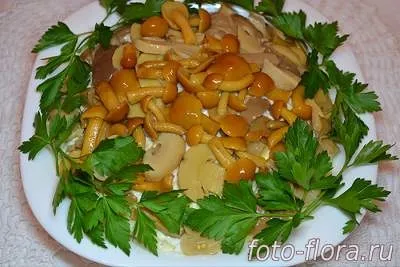 Салати з грибами і куркою рецепти з фото прості і смачні - рецепти смачних салатів з фото (салати) Салати з грибами і куркою рецепти з фото прості і смачні - рецепти смачних салатів з фото