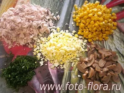 Салати з грибами і куркою рецепти з фото прості і смачні - рецепти смачних салатів з фото (салати) Салати з грибами і куркою рецепти з фото прості і смачні - рецепти смачних салатів з фото
